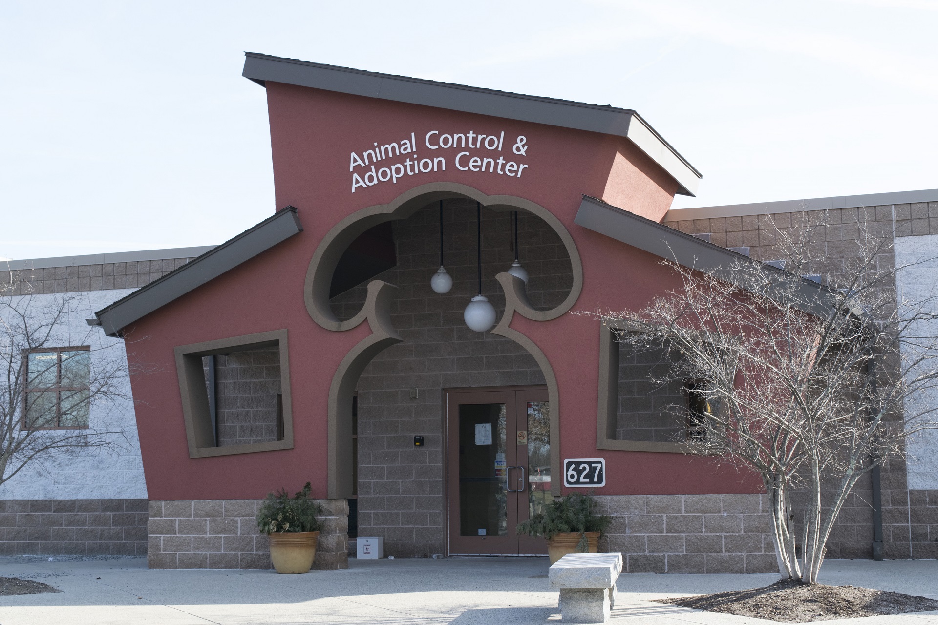 Meet the Wonderful Residents at TJ O'Connor Animal Control & Adoption